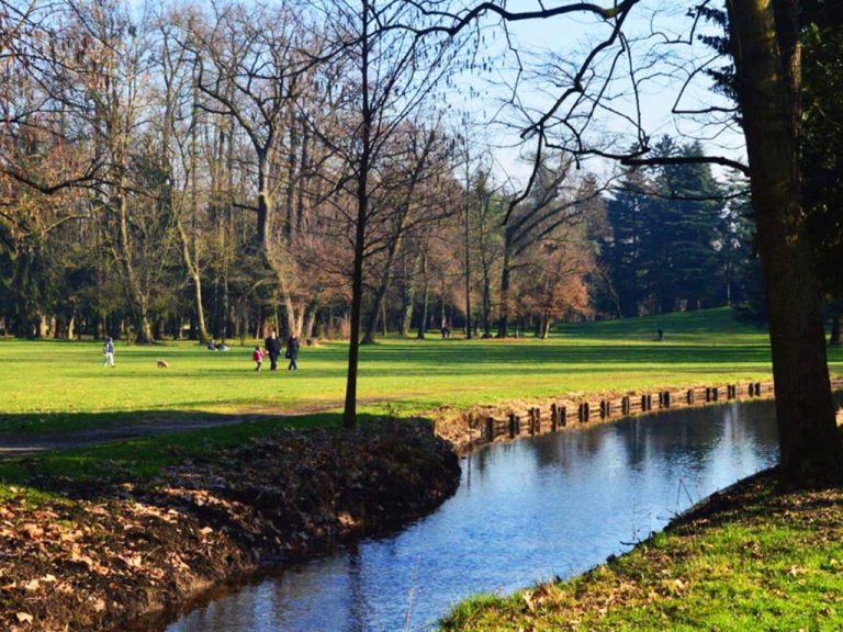 Segreti e meraviglie nel Parco di Monza: un viaggio fra autodromo, cascine e sport
